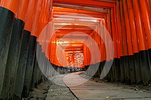 Fushimi Inari Torii Archway photo