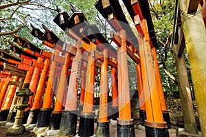 Fushimi Inari torii gates,