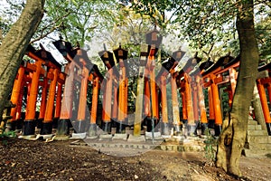 Fushimi Inari torii gates,