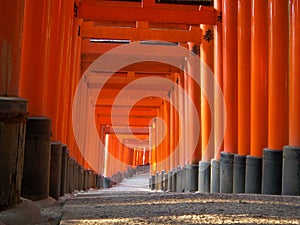 Fushimi Shrine Gates photo
