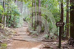 Between Fushiogami-oji and Kumano Hongu Taisha on Kumano Kodo Nakahechi Route in Tanabe,