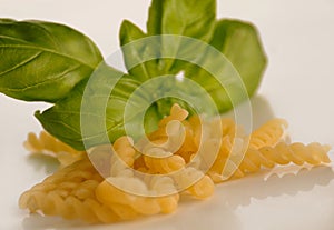 Fusili pasta