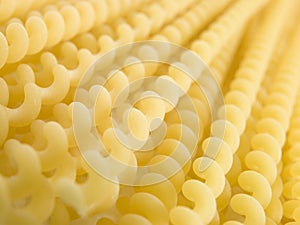 Fusilli Lungi