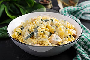 Fusilli pasta with a creamy sauce with chicken meat, parmesan cheese and spinach