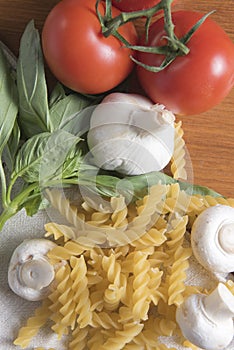 Fusilli pasta with tomatoes, basil and garlic