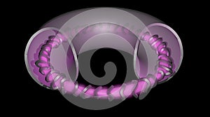 Fusion reactor . Stellarator style . Transparent Solid outer shell. Inner coils with glowing plasma. Sliced front view of outer s