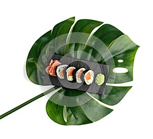 Futomaki Philadelphia Sushi Rolls Top View Isolated