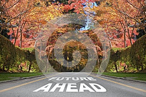 Future ahead word on road surface with autumn season background