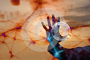 The Future in the Hand