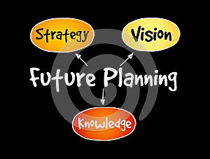 Future planning (knowledge, strategy, vision