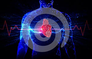 Budúcu technológia v kardiológia a zdravotná starostlivosť vznikajúci technológia na liečiť srdce choroby 
