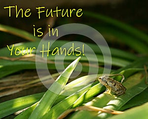 The future is in your hands - Inspirational Quote