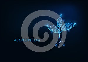Futuristic agrotechnology, agriculture concept with glowing low polygonal plant sprout photo