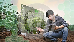 Futuristic farmer using digital tablet with futuristic augmented reality holograms for controlling agricultural products.