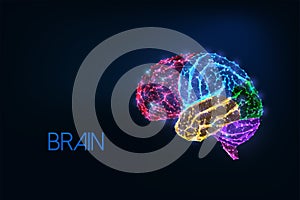 Futuristic glowing low polygonal colorful human brain with emphasized parts isolated on dark blue