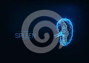 Futuristic glowing low polygonal human spleen hologram isolated on dark blue background.