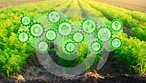 Futuristic innovative technology pictogram on green farm carrot fields on an sunny day. Agricultural startups, improvements, digit