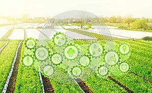 Futuristic innovative technology pictogram on green farm potato fields on an sunny morning day. Agricultural startups,