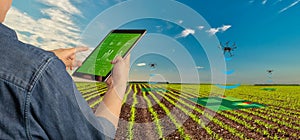 Futuristic technology trend in smart farm agriculture concept. Farmer use ai drone to monitor prediction forecast check the health