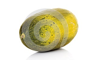 Futuro melon, close-up photo