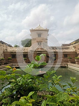 Futute of Jogjakarta kingdom