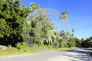 Fuvahmulah developed road photo