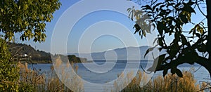 Fuxianhu lake landscape with branches prospect