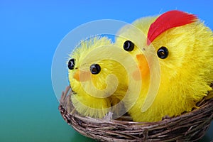 Fuzzy Easter Chicks in Nest