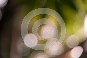 fuzzy facula background