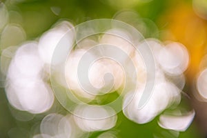 fuzzy facula background