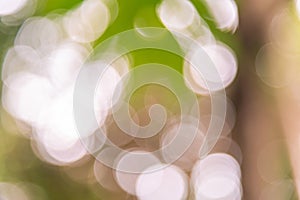 fuzzy facula background