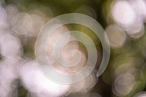 fuzzy facula background