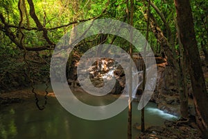 Fuzzy forest, forest in a mess, water fall and light in forst.