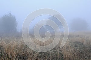 Fuzzy Landscape in the Fall