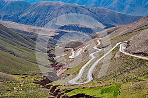 Fuzzy road going down the Andes, Argentina