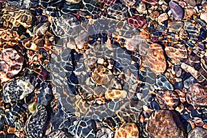Fuzzy texture sea stones