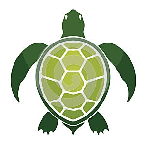 Marine Elegance: Sea Turtle Vector Art photo