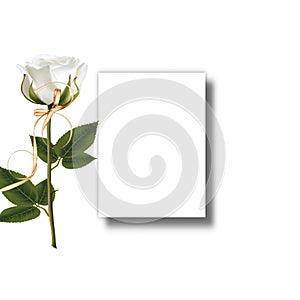 Fwstive roses  White invitation banner card mockup  with exotic  flowers and leaf  tropical summer  elements  copy space template