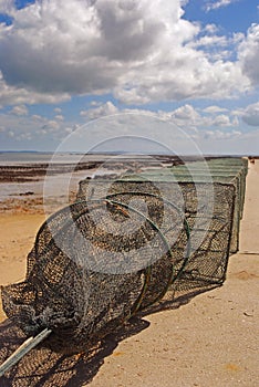 Fyke net are bag shaped which held open by hoops