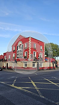 A gÃ¶rse hound in limeric ireland