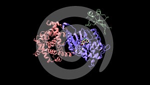 G2-mitotic-specific cyclin B1, cyclin-dependent kinase 1 and cyclin-dependent kinase regulatory subunit 2 with Flavopiridol