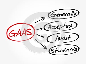 GAAS - Generally Accepted Audit Standards