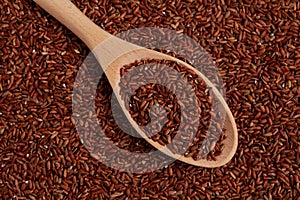 GABA rice in wooden spoon lying on red grains. Germinate brown rice