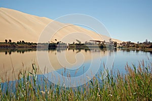 Gaberoun Oasis, Ubari Sand Sea, Libya