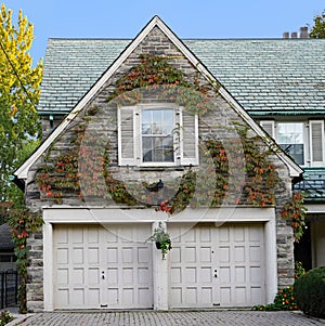 gable above garage doors with colorful ivy