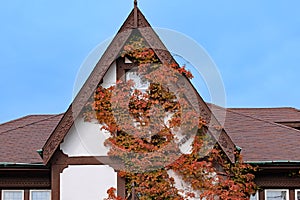 Gable of half-timbered house with vine in fall colors