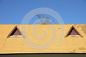 Gable on the yellow roof
