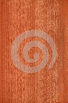 Gabon (wood texture)