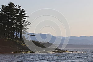 Gabriola Island Shoreline Silhouette