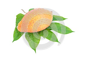 Gac fruit healthy fruit